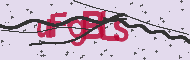 Captcha認証コード